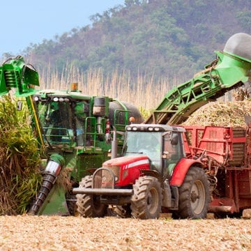 New Models of The Grain Brain Designed For The Australian Market