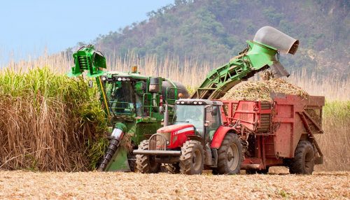 New Models of The Grain Brain Designed For The Australian Market