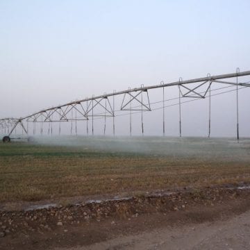 Farming in the Desert, Egypt and Sudan