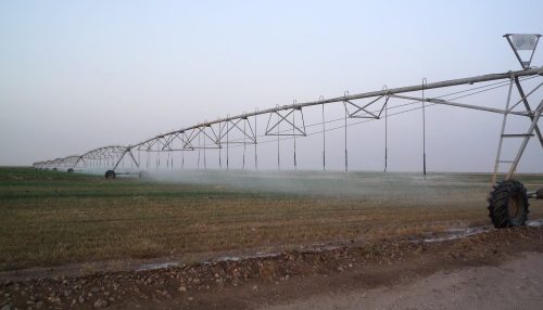 Farming in the Desert, Egypt and Sudan