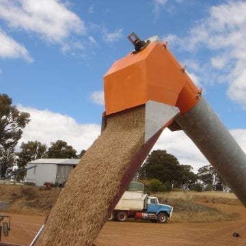 Auger Continuous Flow Weighers