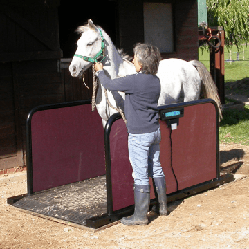 Horse Weighbridges