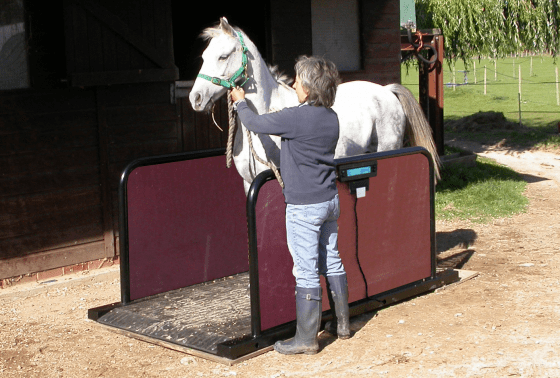 Horse Weighbridges