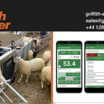 Livestock Farming Technology – Griffith Elder technology on Pharmweigh’s Auto Drafter