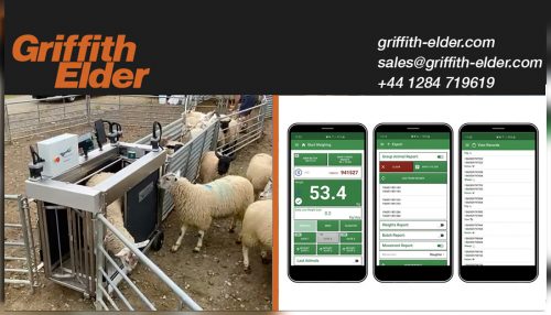 Livestock Farming Technology – Griffith Elder technology on Pharmweigh’s Auto Drafter