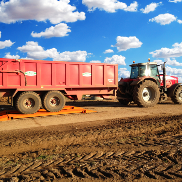 Portable Weigh Beams